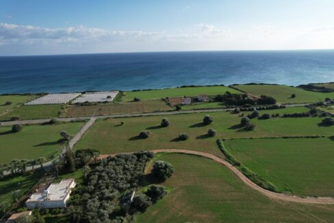 FIELD IN AYIOS THEODOROS 1