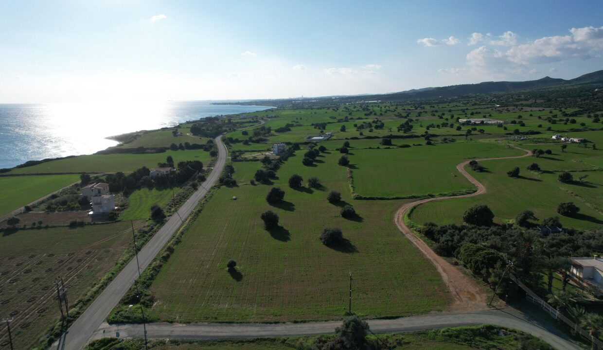 FIELD IN AYIOS THEODOROS