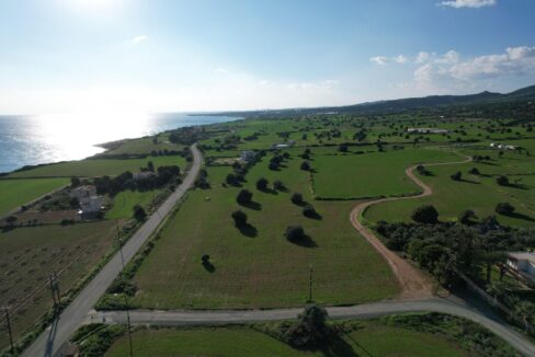 FIELD IN AYIOS THEODOROS